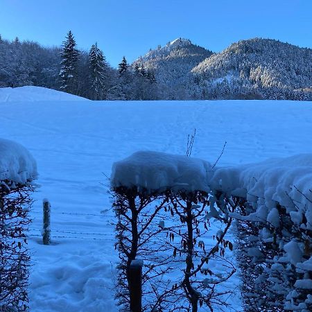 Appartement 2 Pieces Pieds Des Pistes Terrasse Face A La Montagne แบร์เนซ์ ภายนอก รูปภาพ